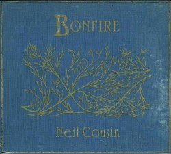 Жанр: Indie, Folk, Acoustic Год выпуска: 2011