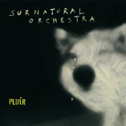Label: L'Autre Distribution Жанр: Jazz, Modern,