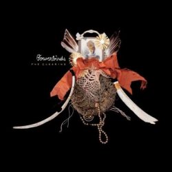 Жанр: Indie Folk 	Год выпуска: 2012 	Формат: mp3