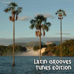 Label: Stereoheaven Жанр: Downtempo, Lounge,