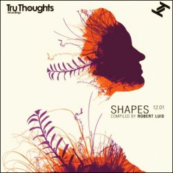 Жанр: Acid Jazz, Trip-Hop, Broken Beat  Год