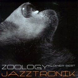 Жанр: Future Jazz, Acid Jazz, Deep House   Год