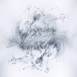 Label: NLart Жанр: Classical, Piano, Postmodern,
