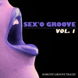 VA - Sexo Groove Vol.1: 30 Erotic Groove Tracks (2013)