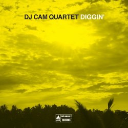 Жанр: Acid Jazz, Electronic, Funk Год выпуска: