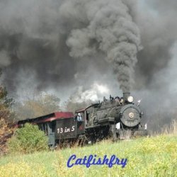 Catfishfry - 13 In 5 (2011)