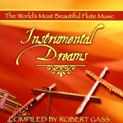 Instrumental Dreams Flute (2004) Instrumental Dreams Flute (2004)