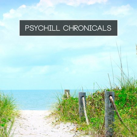 Label: Chillquam Records  Жанр: Downtempo,
