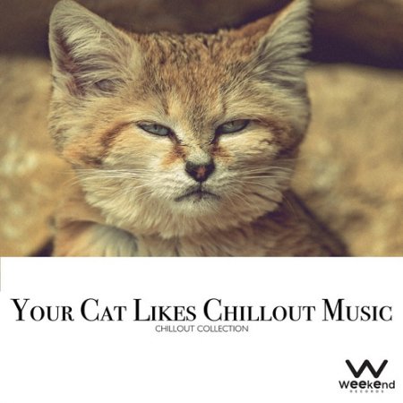 Label: Weekend Records  Жанр: Downtempo,