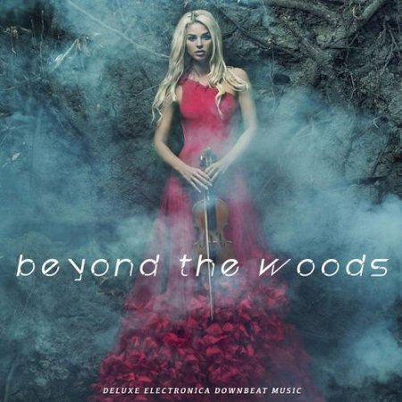 Label: 4-Elements-Records  Жанр: Downtempo,