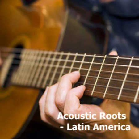 Label: Brilliant Music  Жанр: Downtempo,