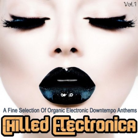 Label: Ragimusic  Жанр: Downtempo, Chillout,