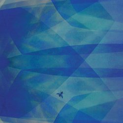 Cyro Baptista - BlueFly (2016)