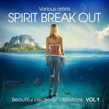Label: Liquid Lounge Recordings  Жанр: Downtempo,