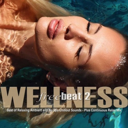 Label: Freebeat Music Records  Жанр: Downtempo,