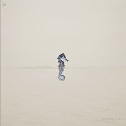 TAB - Seahorse (2016)