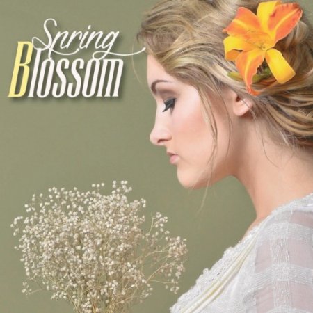 VA - Spring Blossom: 20 Smooth and Relaxing Jazz Lounge Tunes (2016)