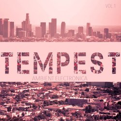 Label: Catharsis 	Жанр: Downtempo, Ambient 	Год