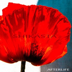 Label: Subatomic Records 	Жанр: Downtempo 	Год