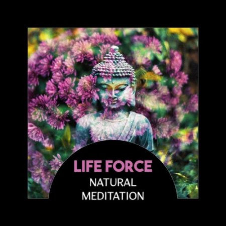 Label: New Age NY Records  Жанр: Downtempo,