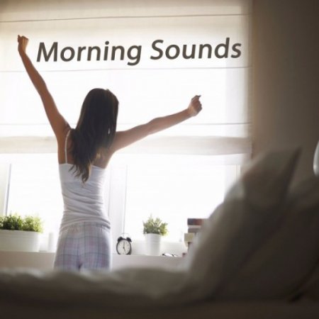 VA - Morning Sounds: The Best of Extraordinary Chillout Lounge and Downbeat (2017)