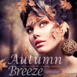 Label: Manifold Records 	Жанр: Lounge, Chill Out