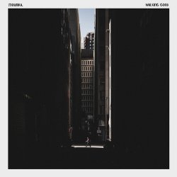 Mounika. - Walking Good (2017)