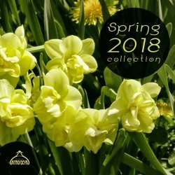 Label: Armoracya 	Жанр: Balearic, Downtempo 	Год