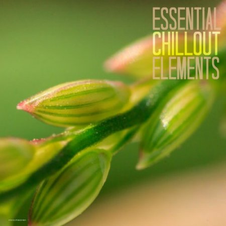 Label: Stereoheaven 	Жанр: Lounge, Chill Out 	Год