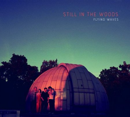 Still In The Woods - Flying Waves (2019)
